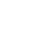 ins-icon